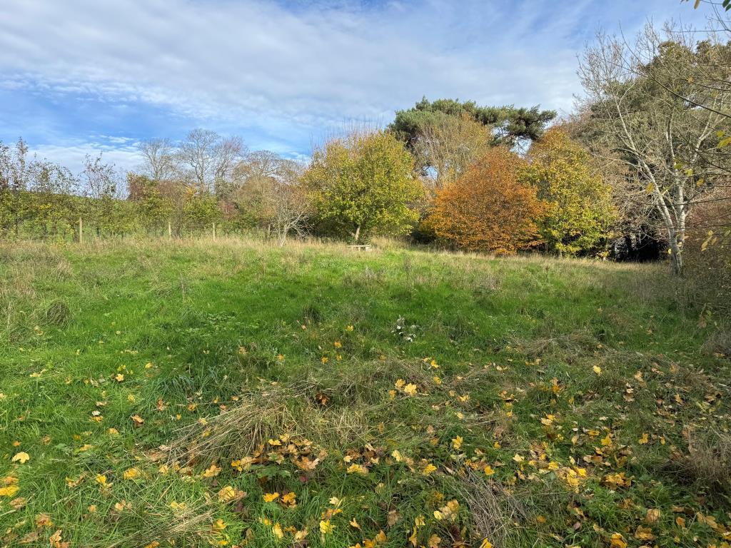 Part of the Grounds