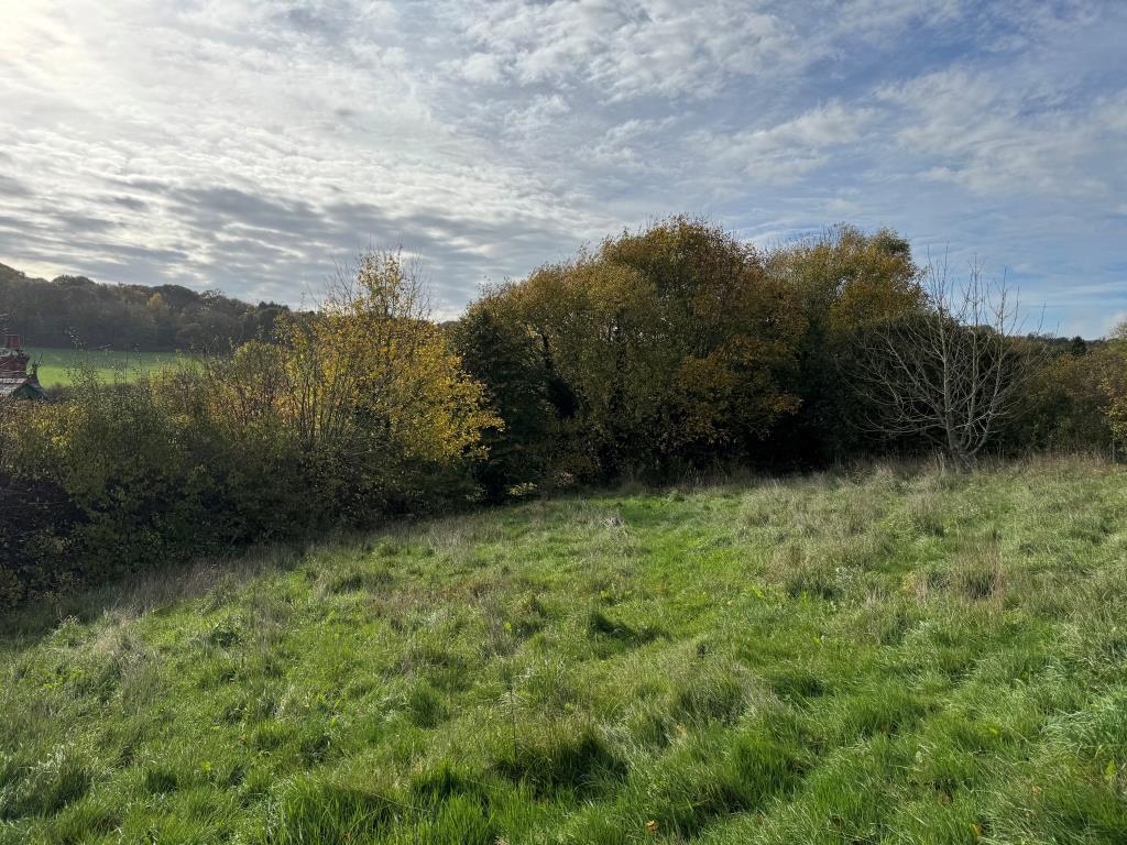 A View Looking Back Down the Site