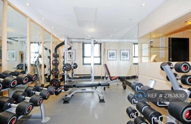Gym 2