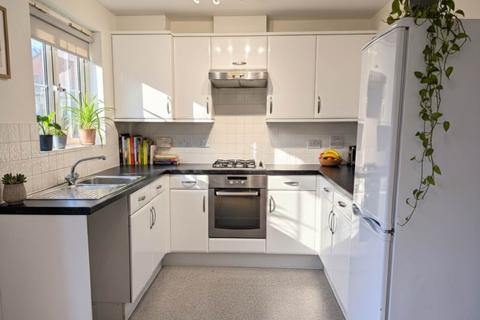 3 bedroom terraced house to rent, Walsingham Place, Exeter EX2
