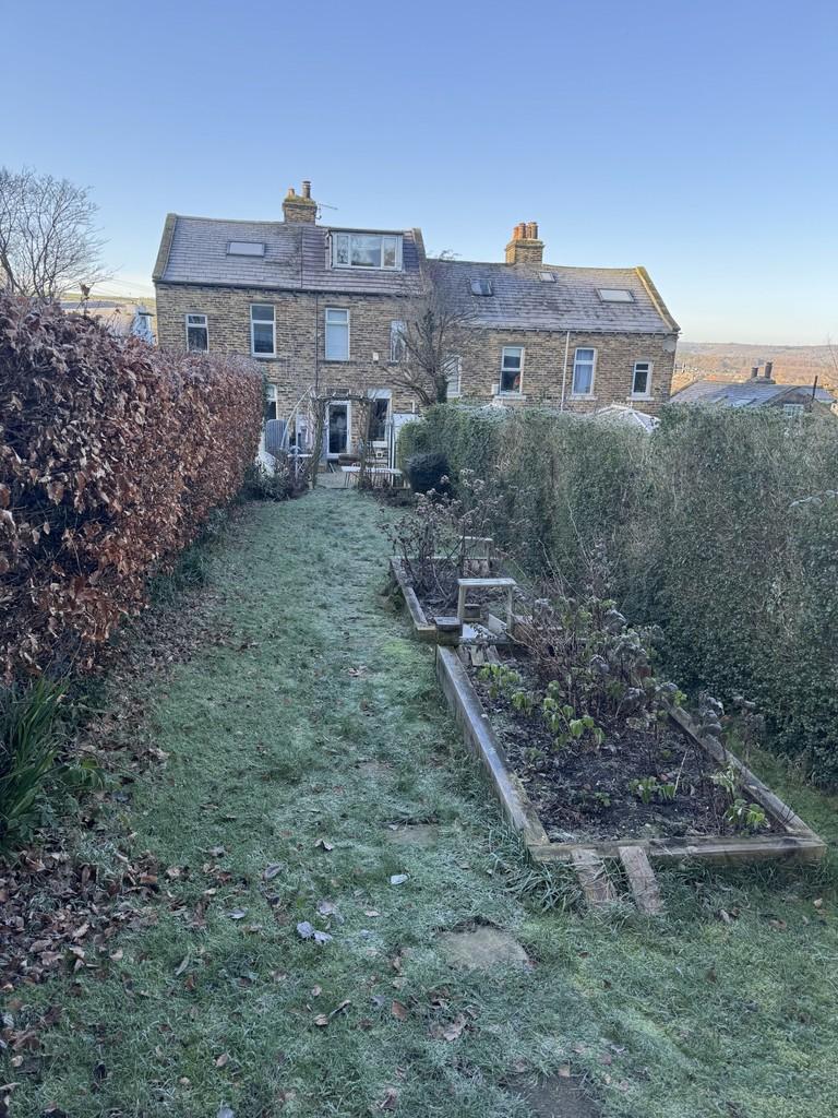 Frosty garden