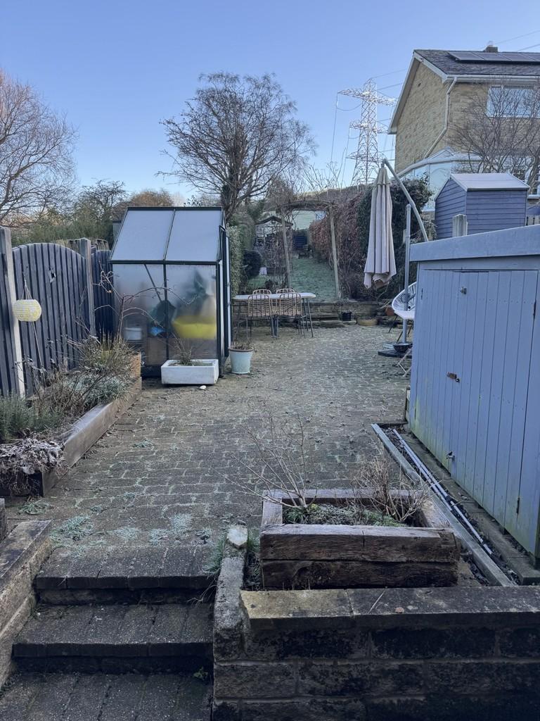 Frosty garden 1