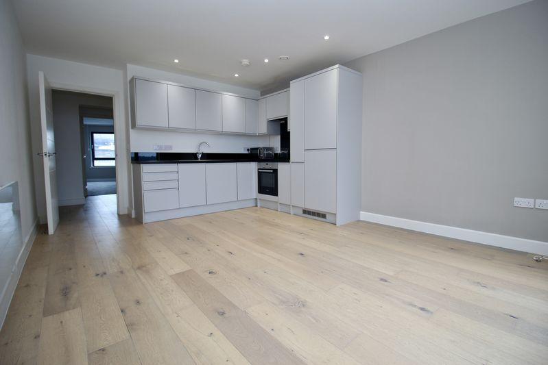 Kitchen/Living Area