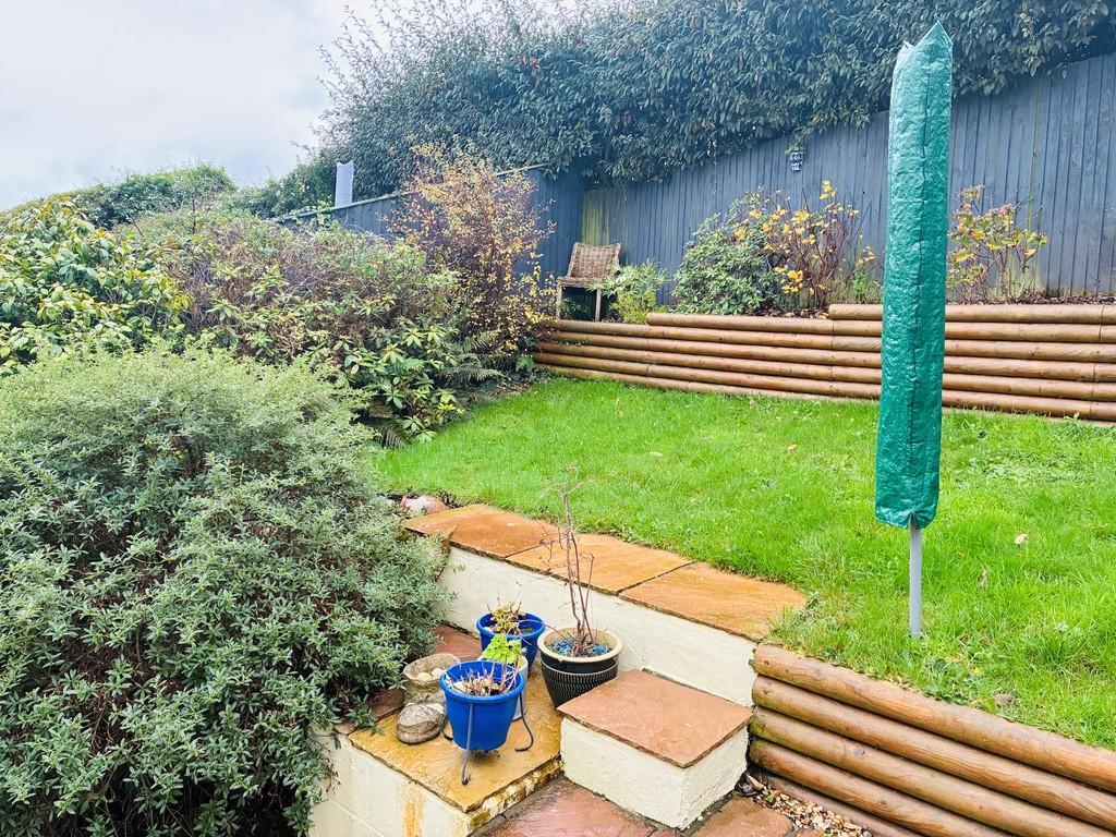 New Backgarden