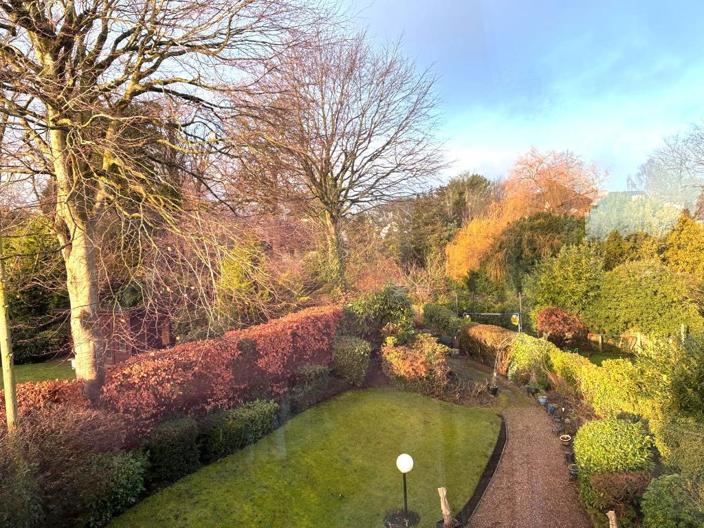 Communal Garden