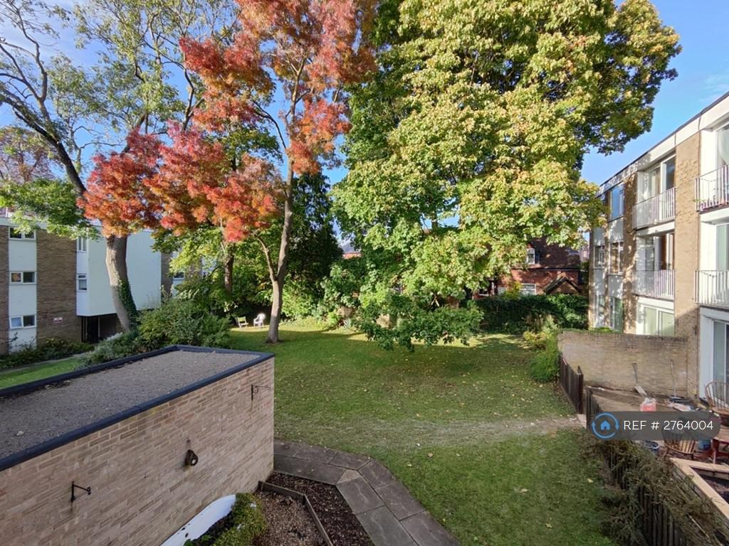 Communal Garden