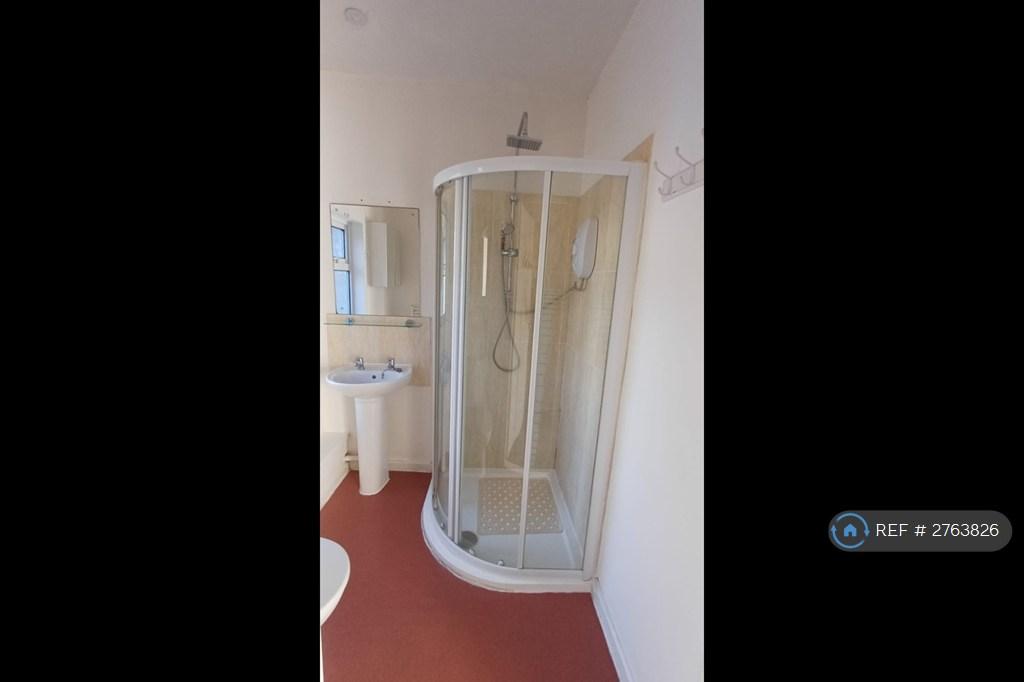 Large Corner Shower