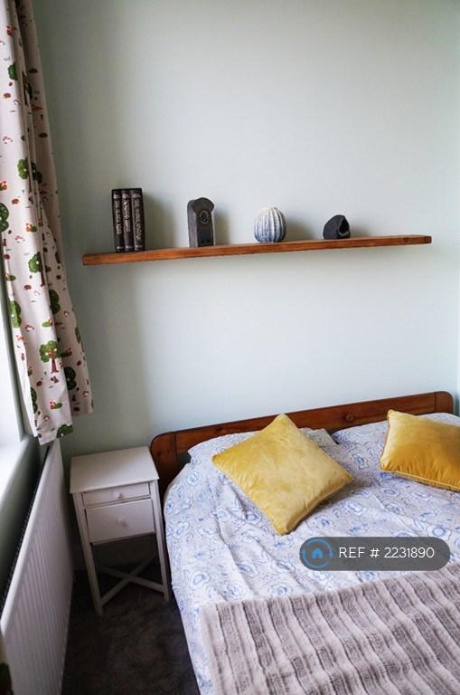 Guest/Family Bedroom