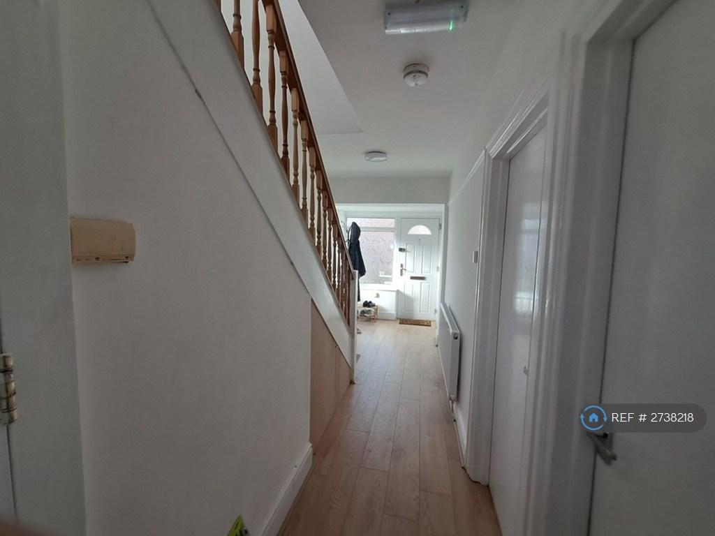 Downstairs Hallway