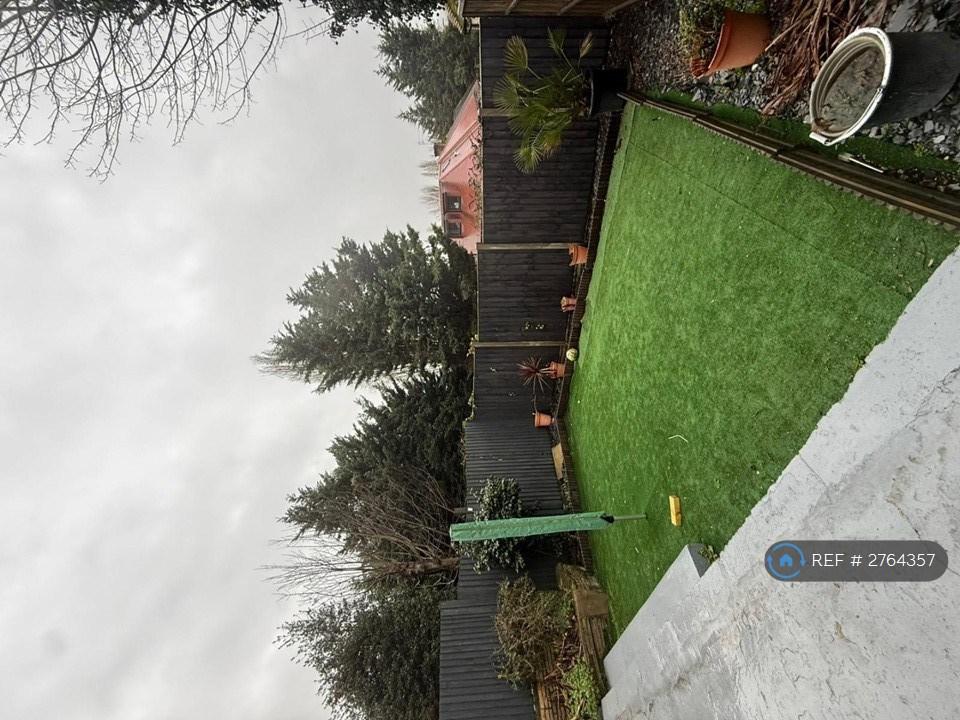Back Garden
