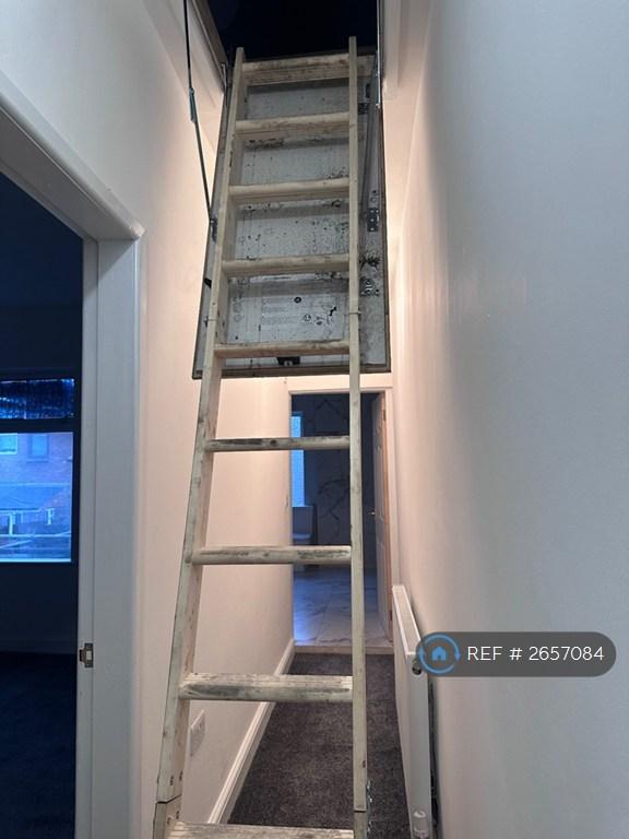Ladder To The Loft