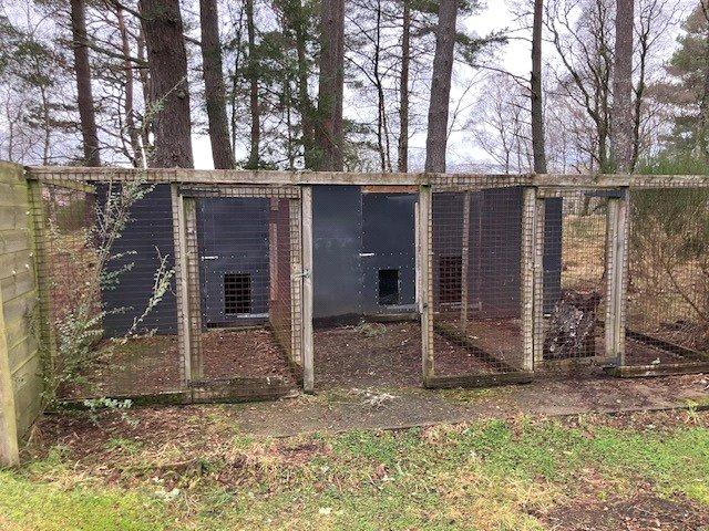 Kennels