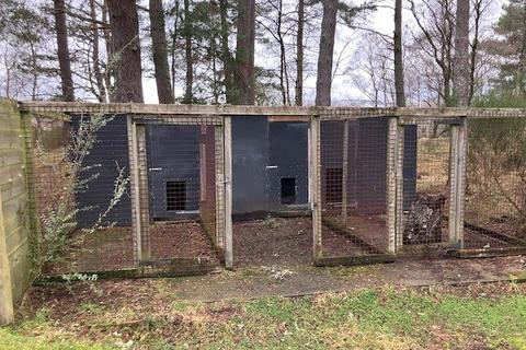 undefined, Carlochy, Dinnet, Aboyne, Aberdeenshire, AB34