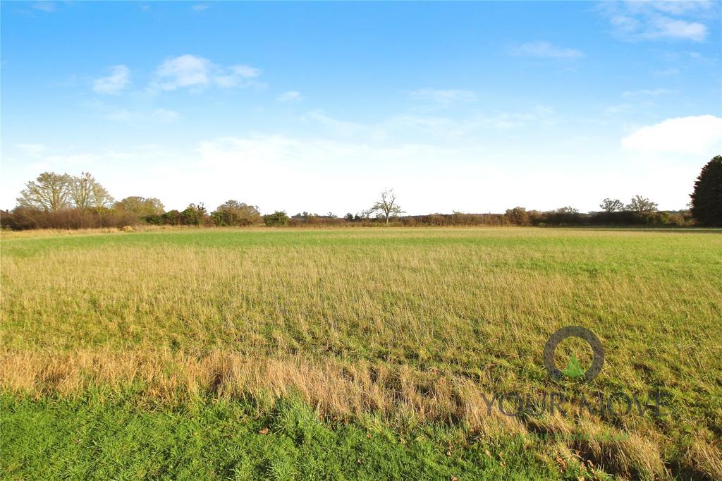 Field View