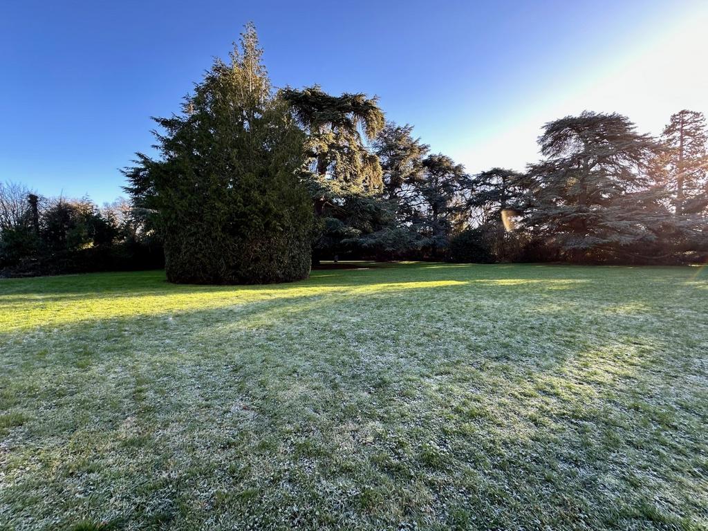 Grounds