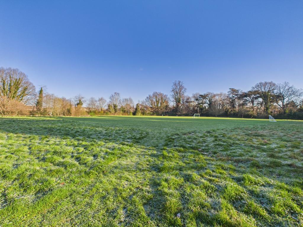 Grounds