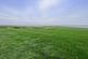 Additional image 21 of Drummore DG9