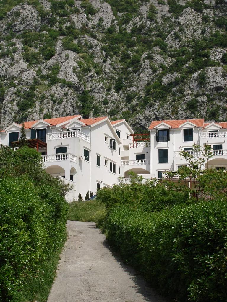 Image5