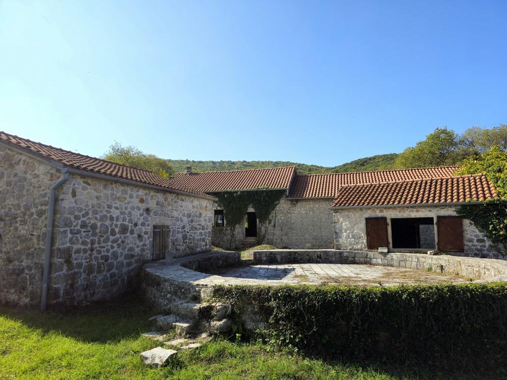 Image11