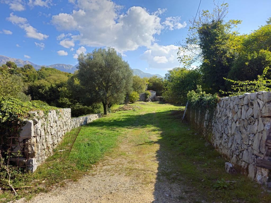 Image13