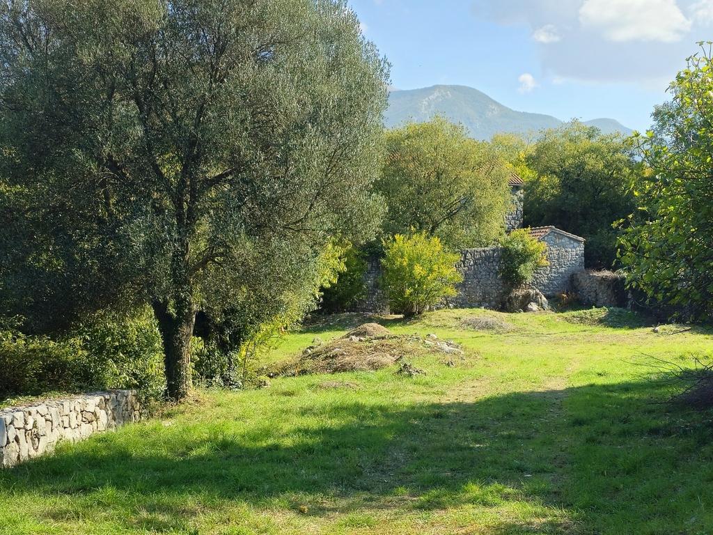 Image3