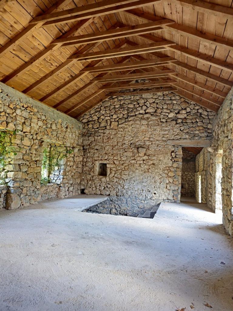 Image6