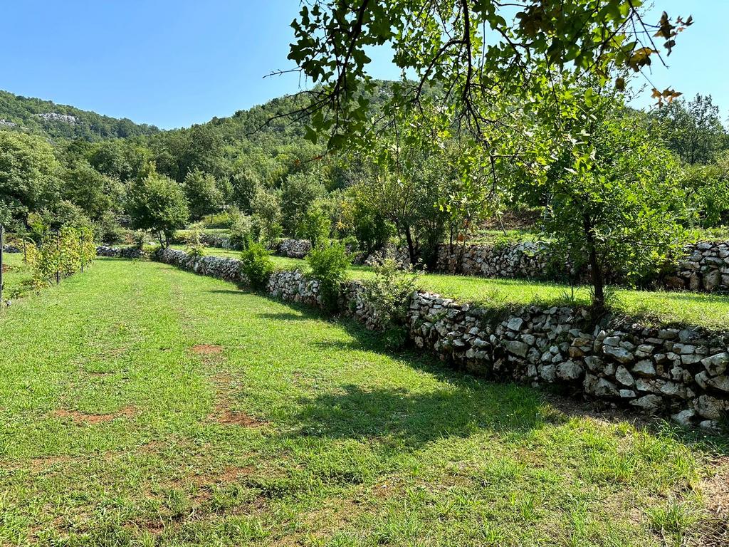 Image4