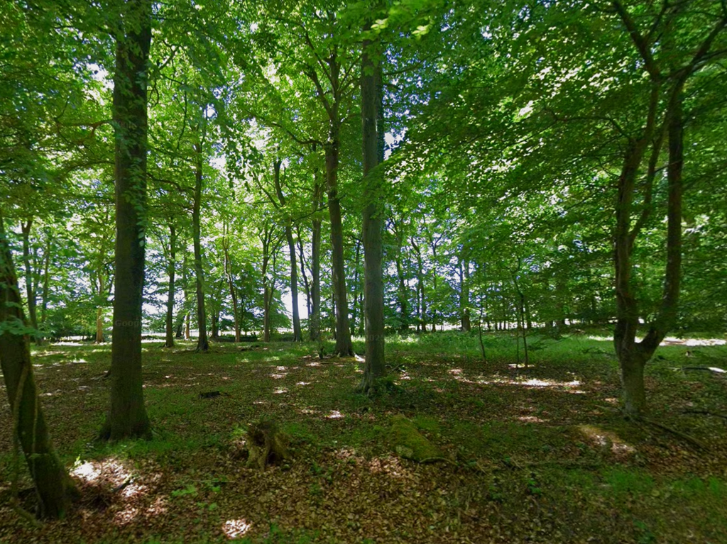Photo T202602021027.png