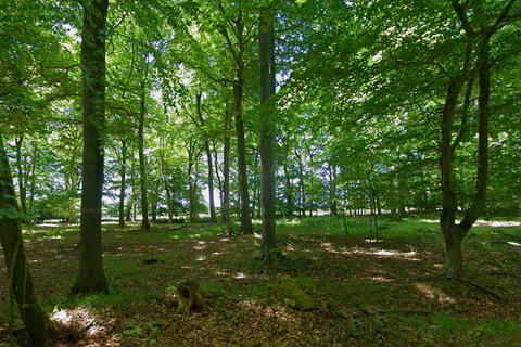 undefined, Land lying to the south east of Stag Hall, Stoke Row Road, Kingwood, Henley-On-Thames, Oxfordshire RG9 5NX