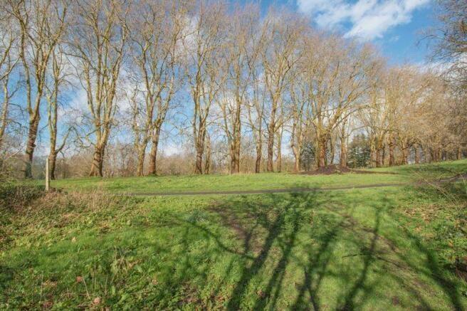 Spacious, sunlit green area with mature trees a...