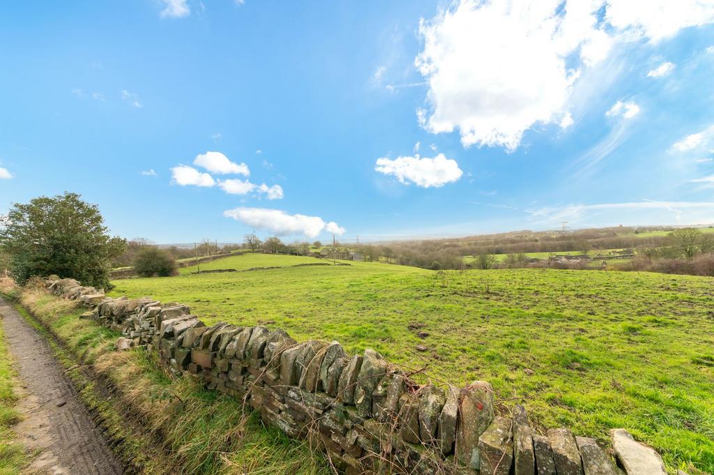 Land and view