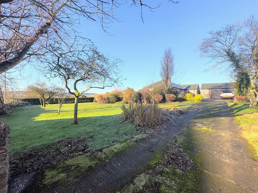 Driveway &amp; Garden