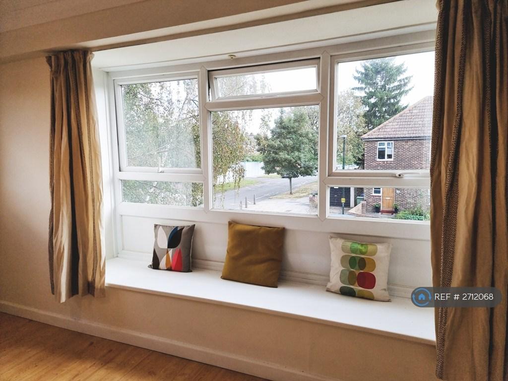 Window Seat