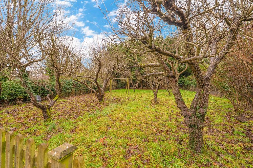 Rear Garden (Orchard Area)