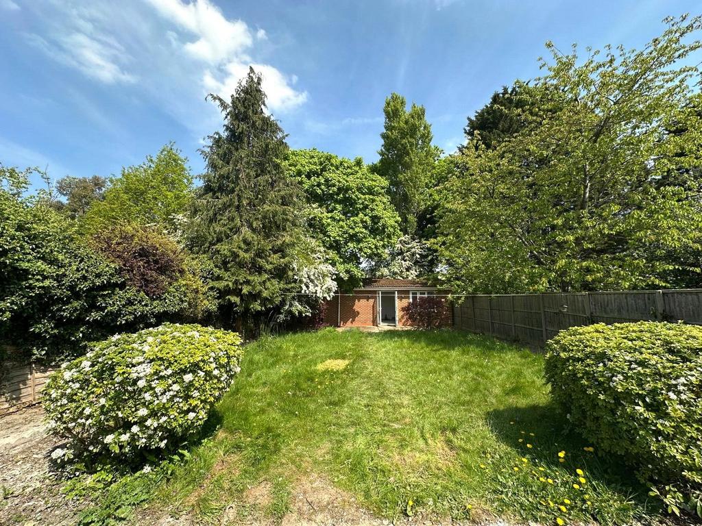 Garden (5)