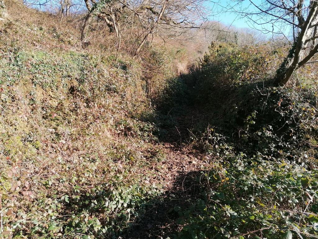 IMG 20230126 110726.jpg