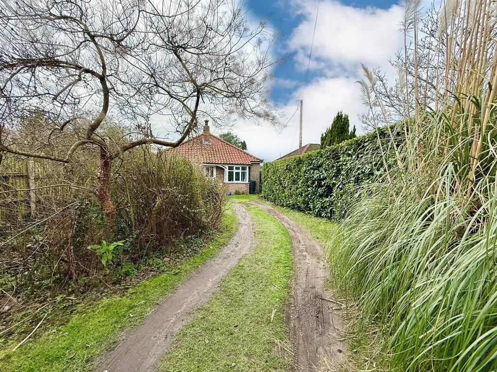Driveway and front garden