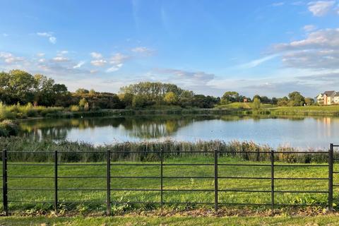 undefined, Galapagos Grove, Newton Leys