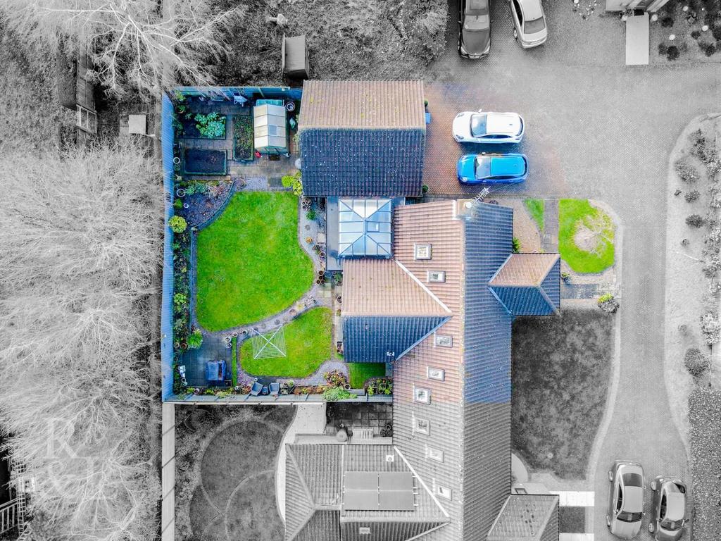 DJI 0383.jpg