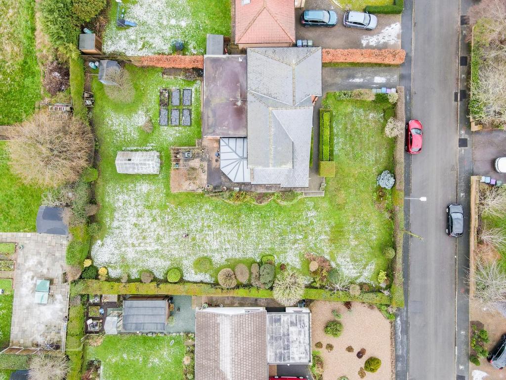 DJI 0341.jpg