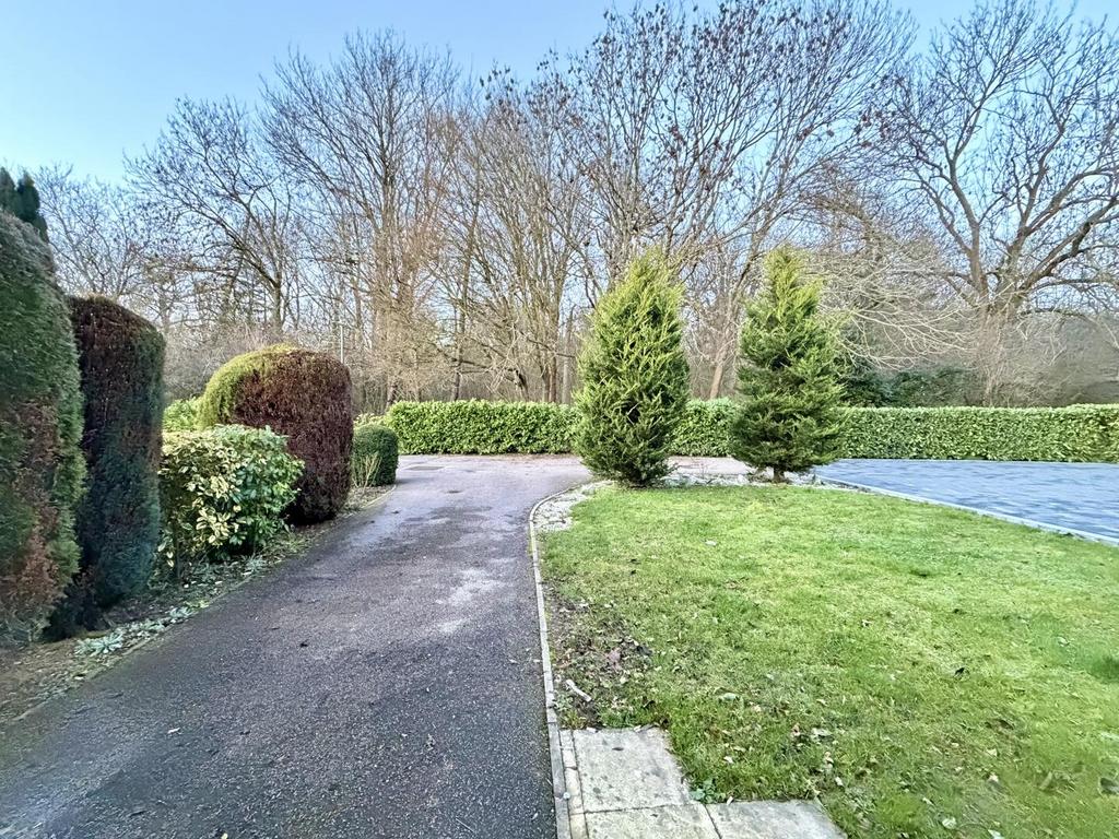 Driveway