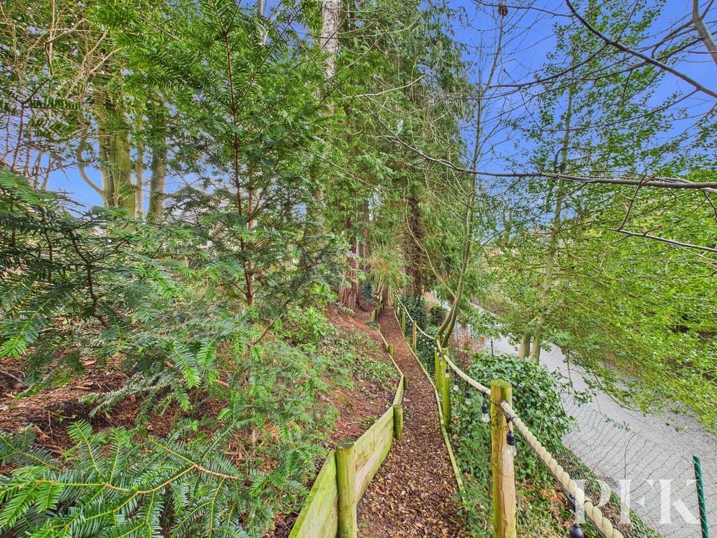Woodland