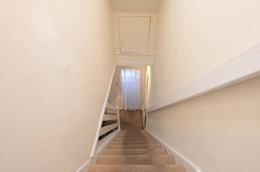 MFL0250454 456.jpg