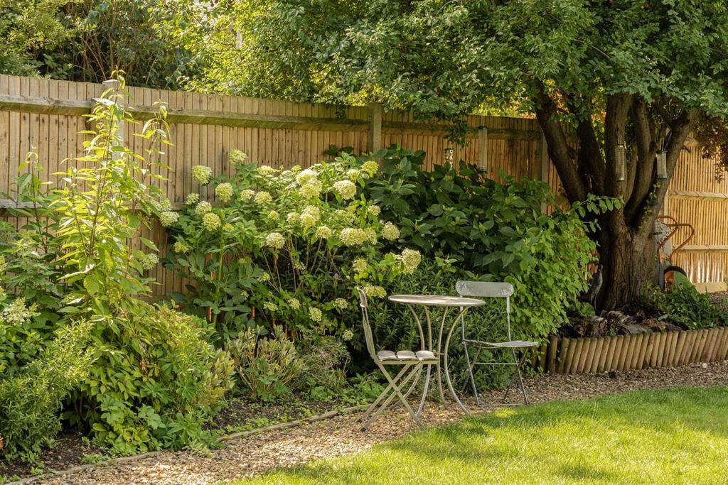 Garden view, garden