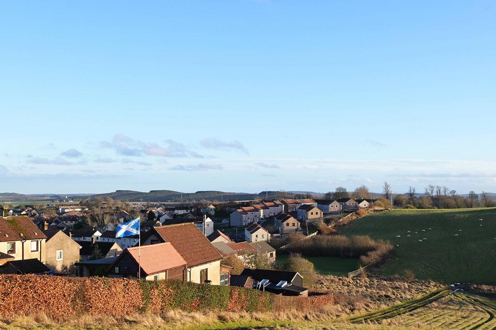MFL0254450 753.jpg