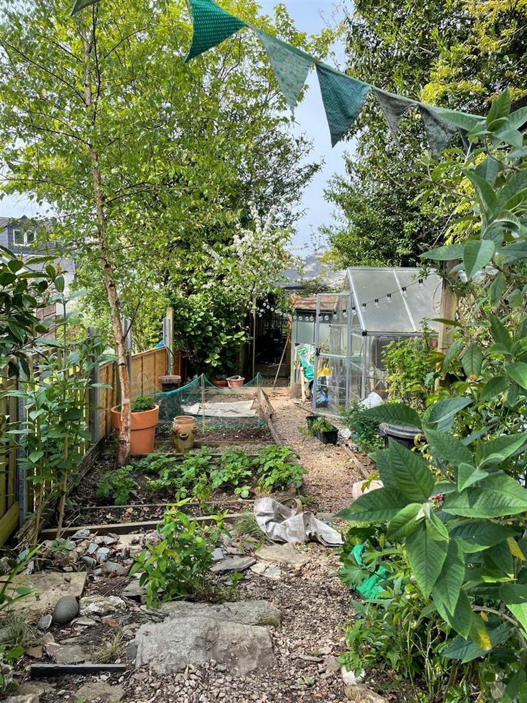 Vegetable Garden in Summer