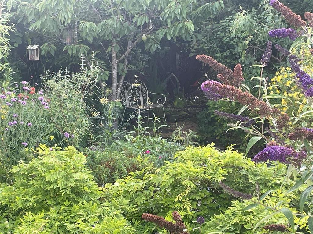 Garden in Summer