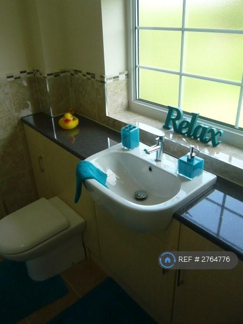 Nice Bright Window Overlooks Garden