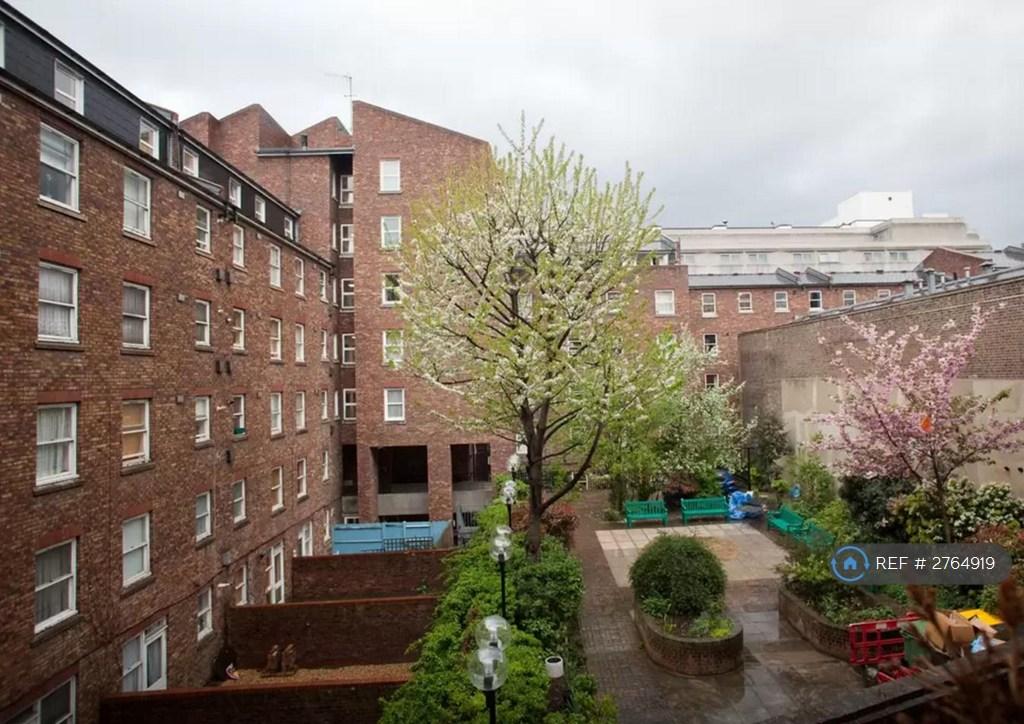 Flat Backs Out Onto a Very Quiet Courtyard