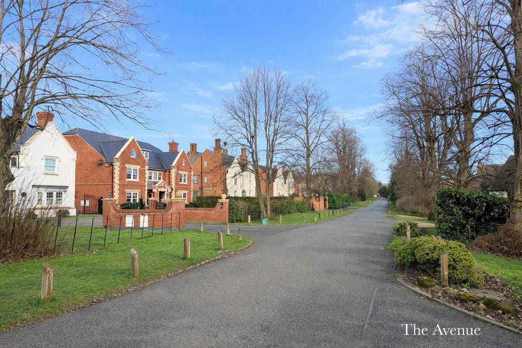 The Avenue